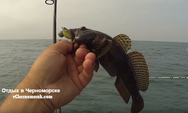 морская рыбалка в Черноморске