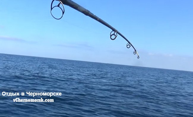 Черноморск морская рыбалка