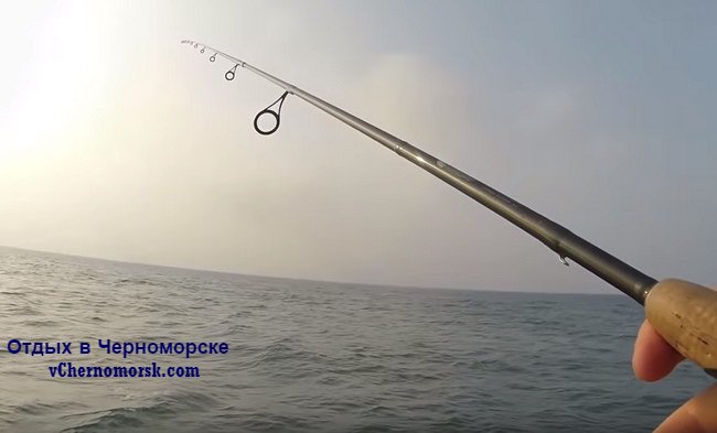 Черноморск морская рыбалка